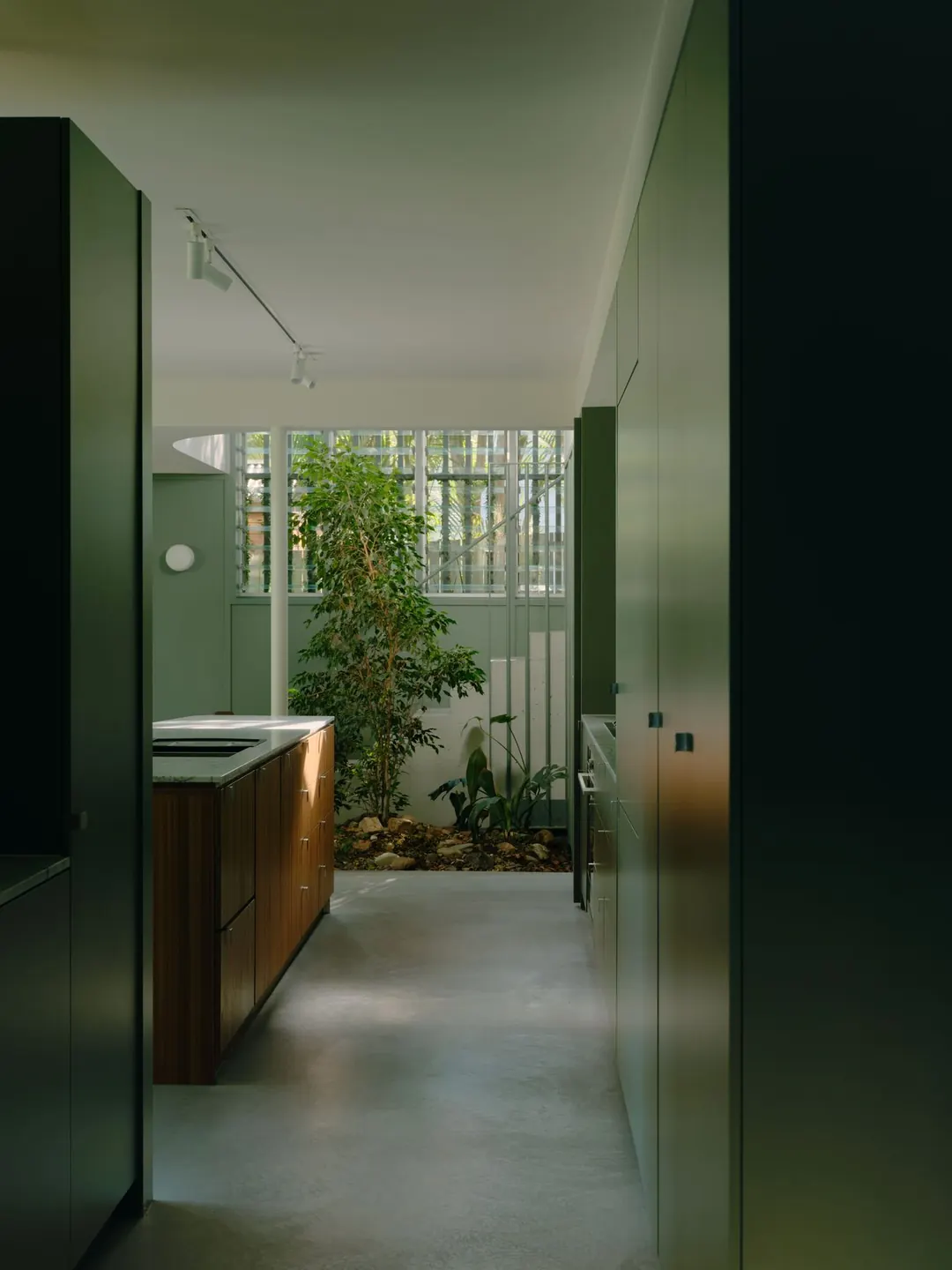 The galley kitchen in dark green joinery, looking through to the indoor garden