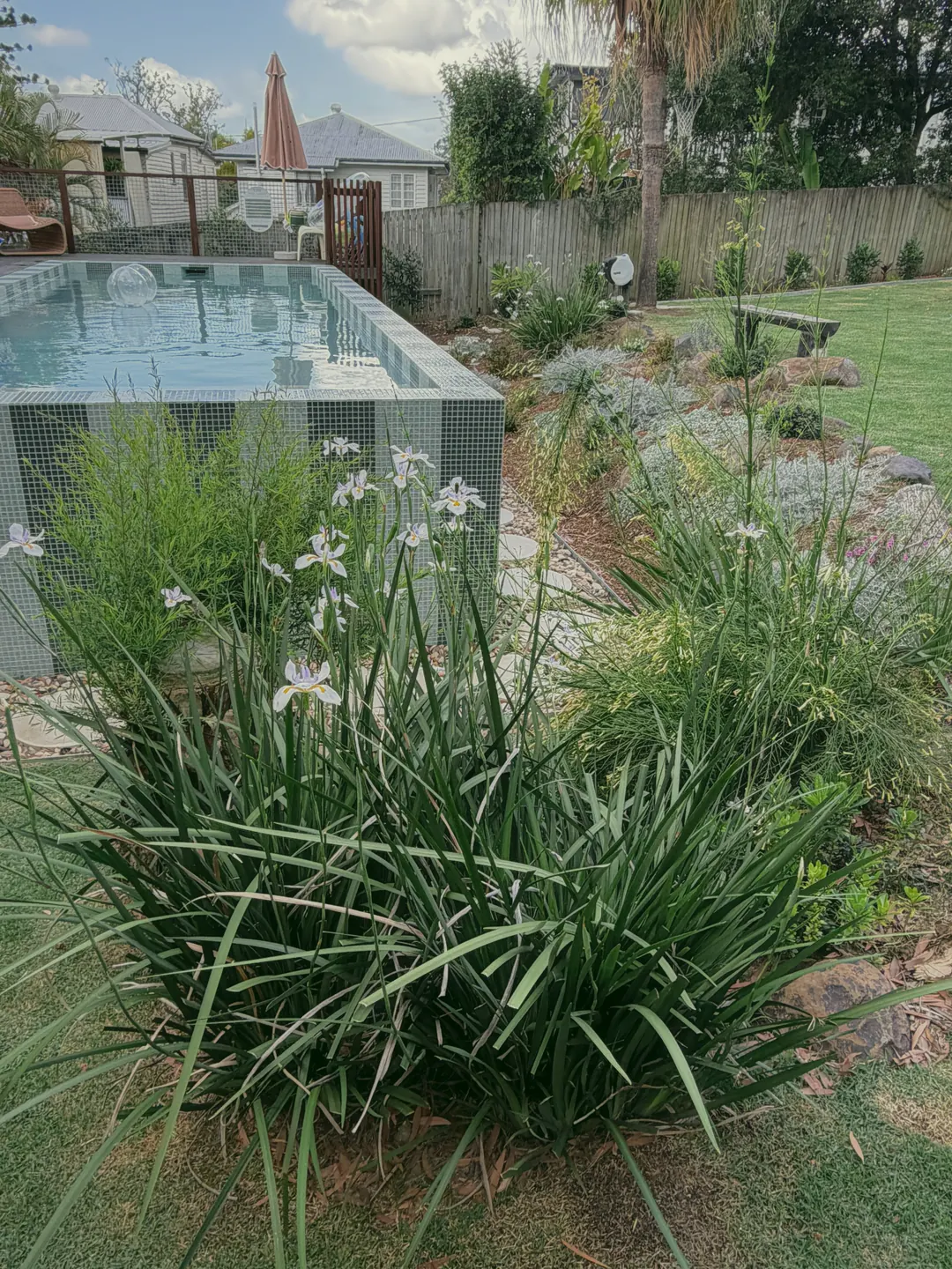 White irises in front of the striped plunge pool, with silver plants and stepping stones beyond