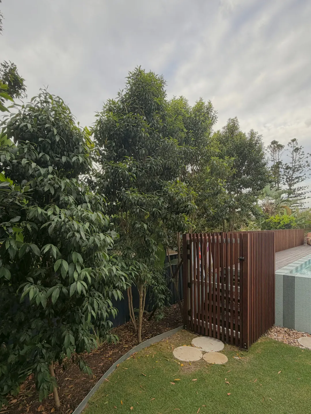 The timber batten gate into the pool enclosure, the striped plunge pool beyond it, tall native trees and round stepping stones set in the lawn